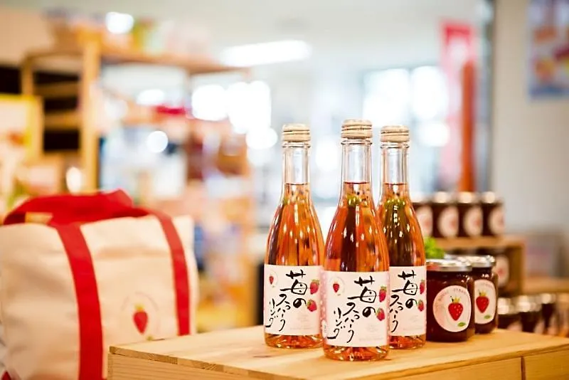 Hotel & Resorts Kyoto-Mijazu Japonsko